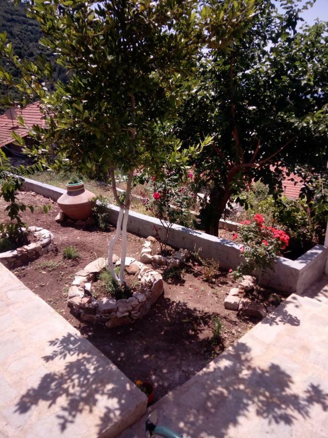Dimitra'S Garden Villa Kallirakhi Екстер'єр фото