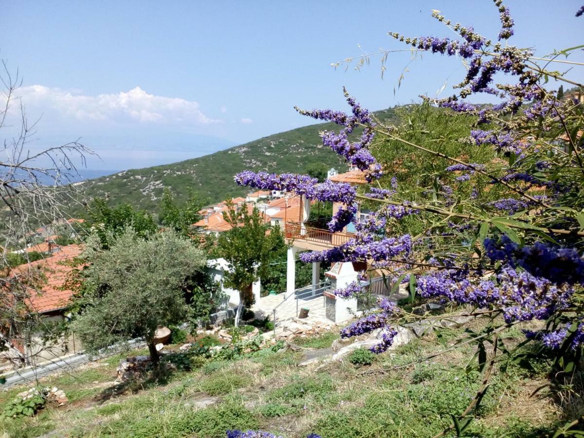 Dimitra'S Garden Villa Kallirakhi Екстер'єр фото