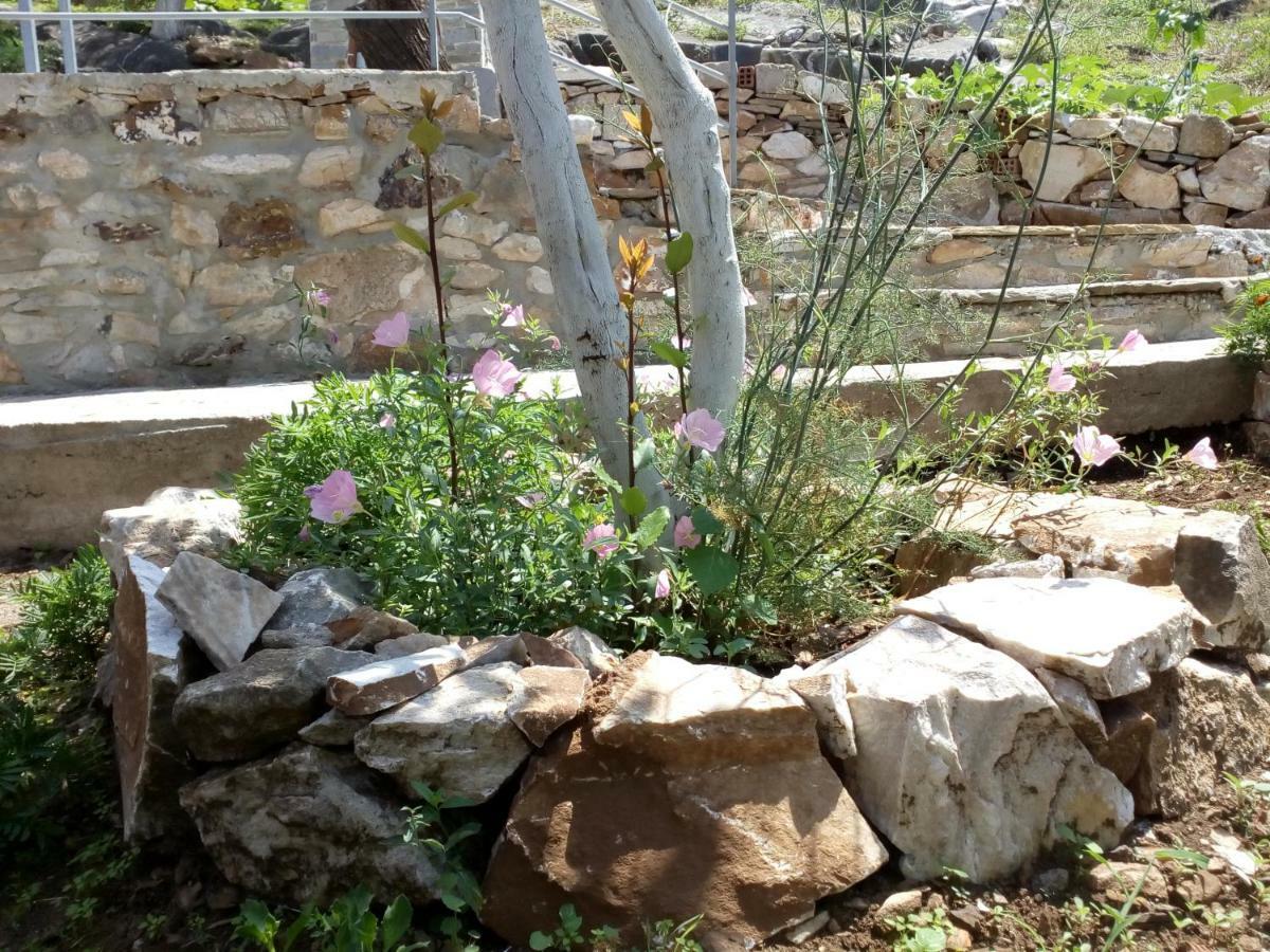 Dimitra'S Garden Villa Kallirakhi Екстер'єр фото